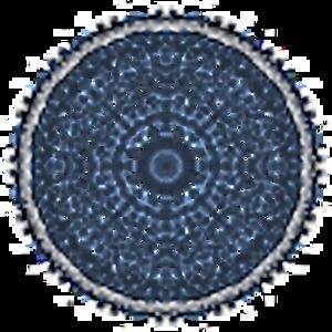 Meet your Posher, Sinalynn